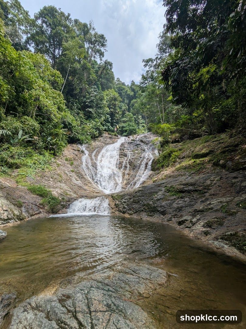 Forest Waterfall Scene