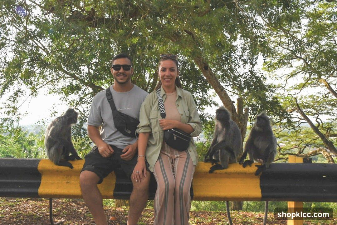Couple with Monkeys on Guardrail