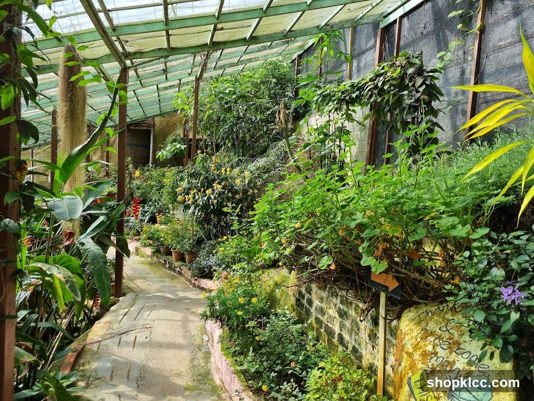 Garden Pathway Under Greenhouse