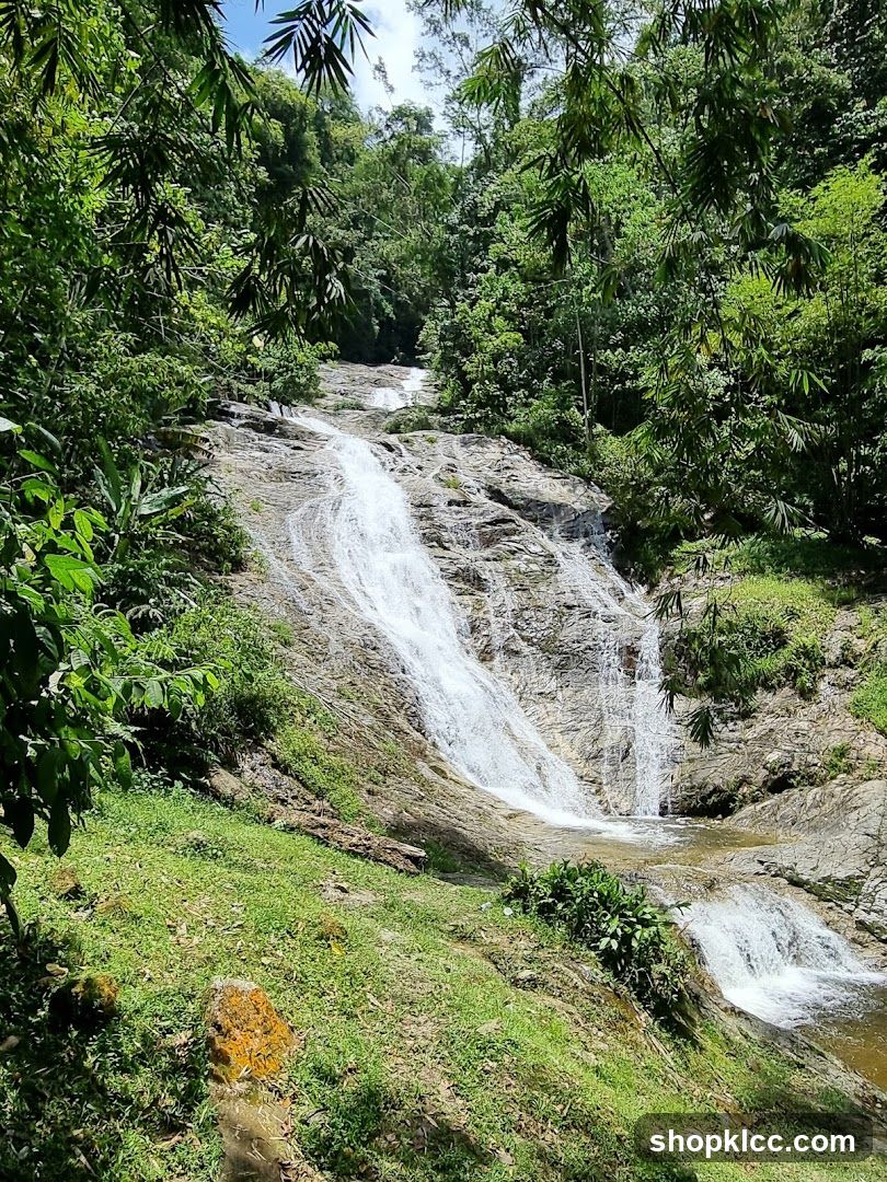 Lush Forest Waterfall Scene