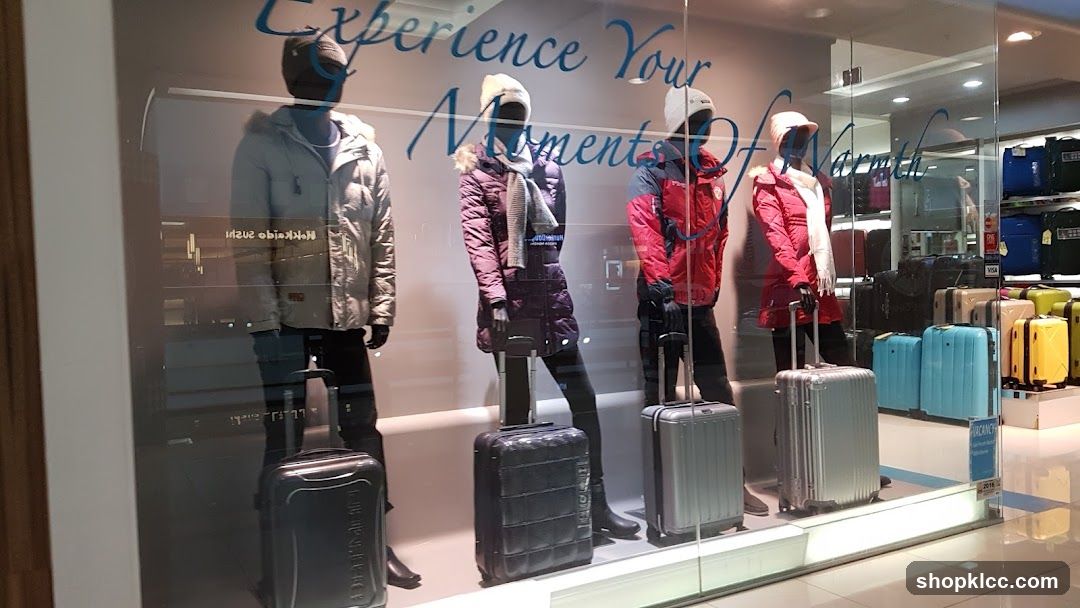 Window Display of Winter Clothing and Luggage