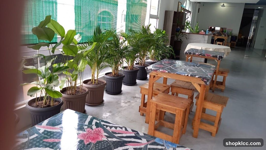 Indoor seating area with plants