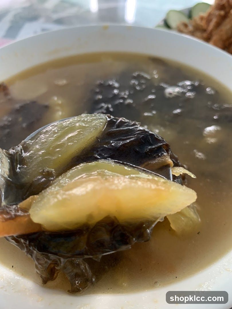 Close-up of a Spoonful of Soup with Vegetables
