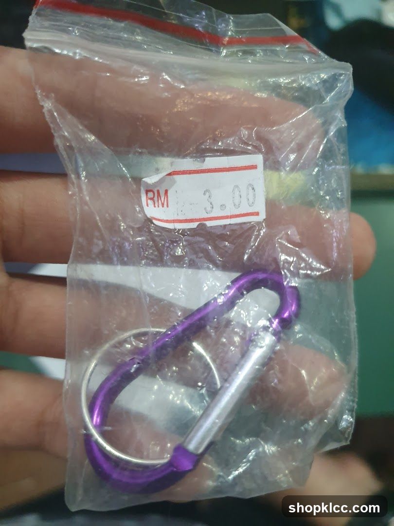 Carabiner Keychain