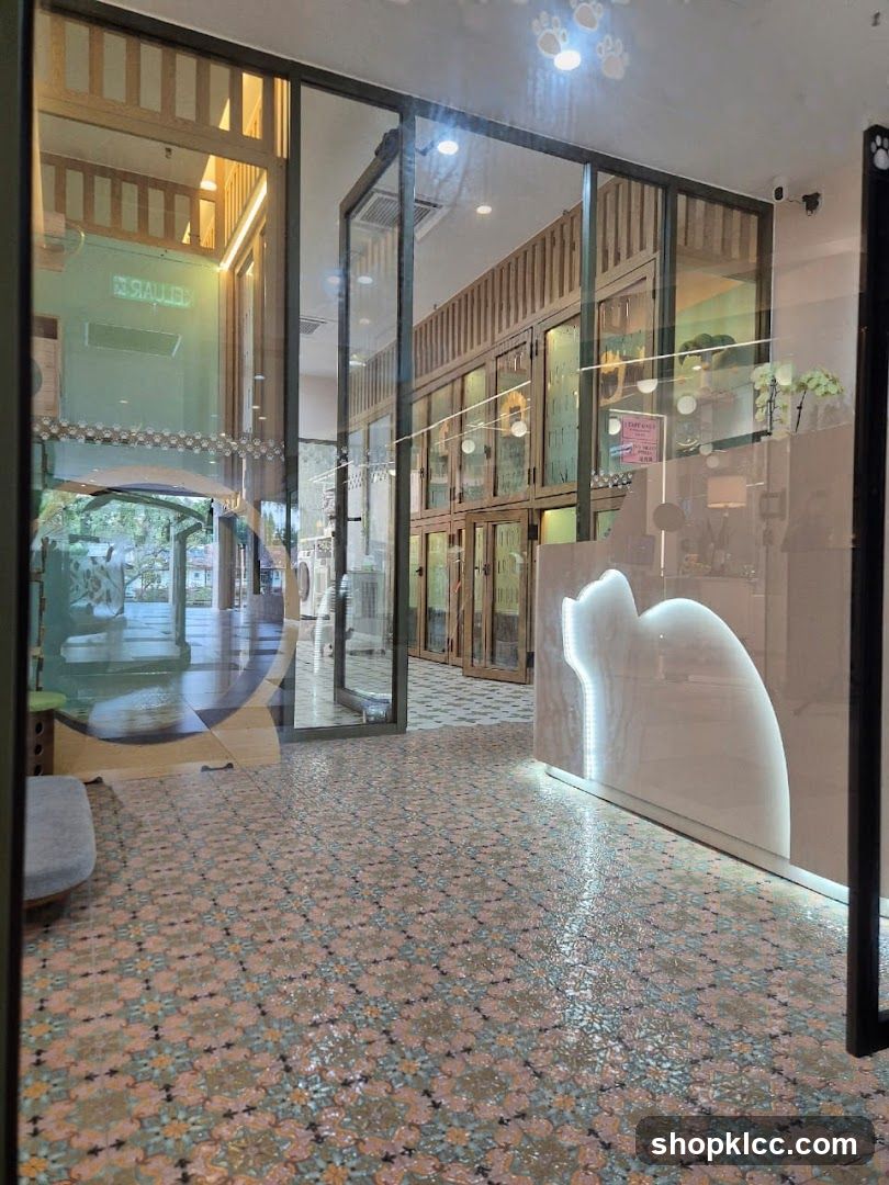 Interior of a Pet Hotel or Boarding Facility