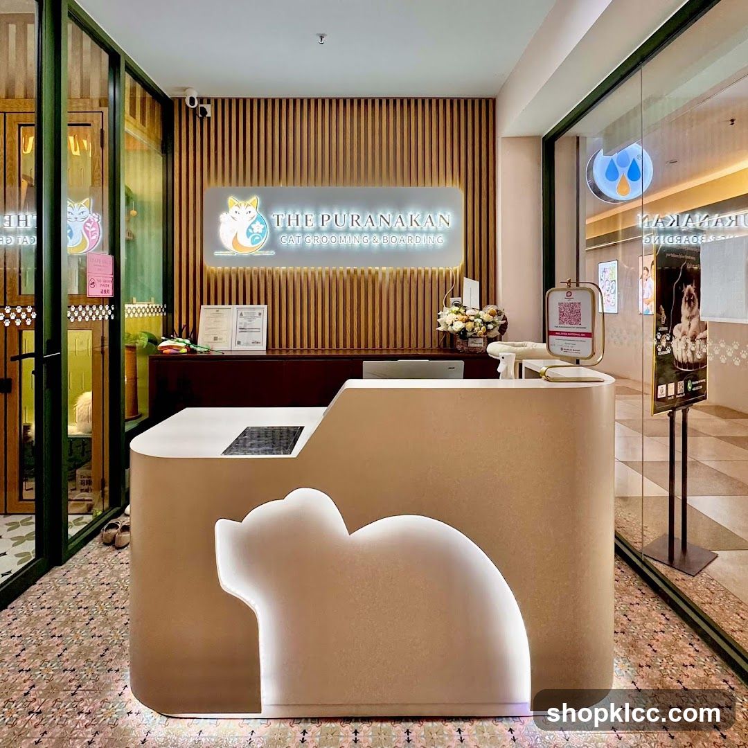 Cat Grooming and Boarding Reception