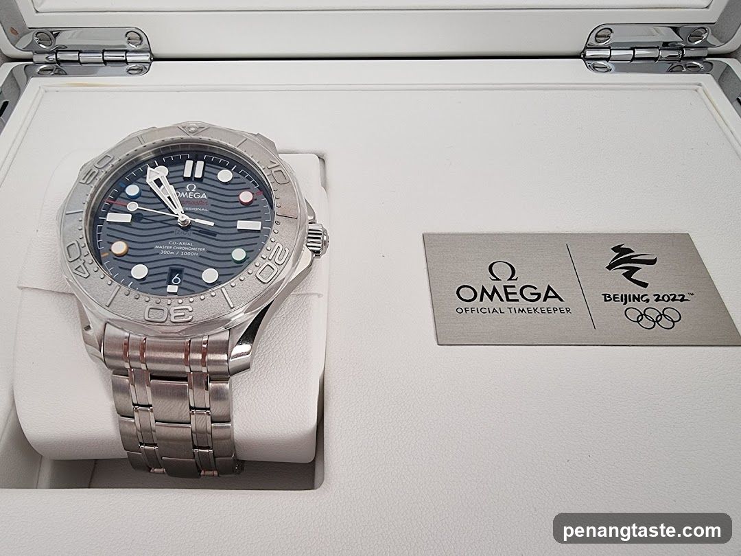 Omega Seamaster Watch