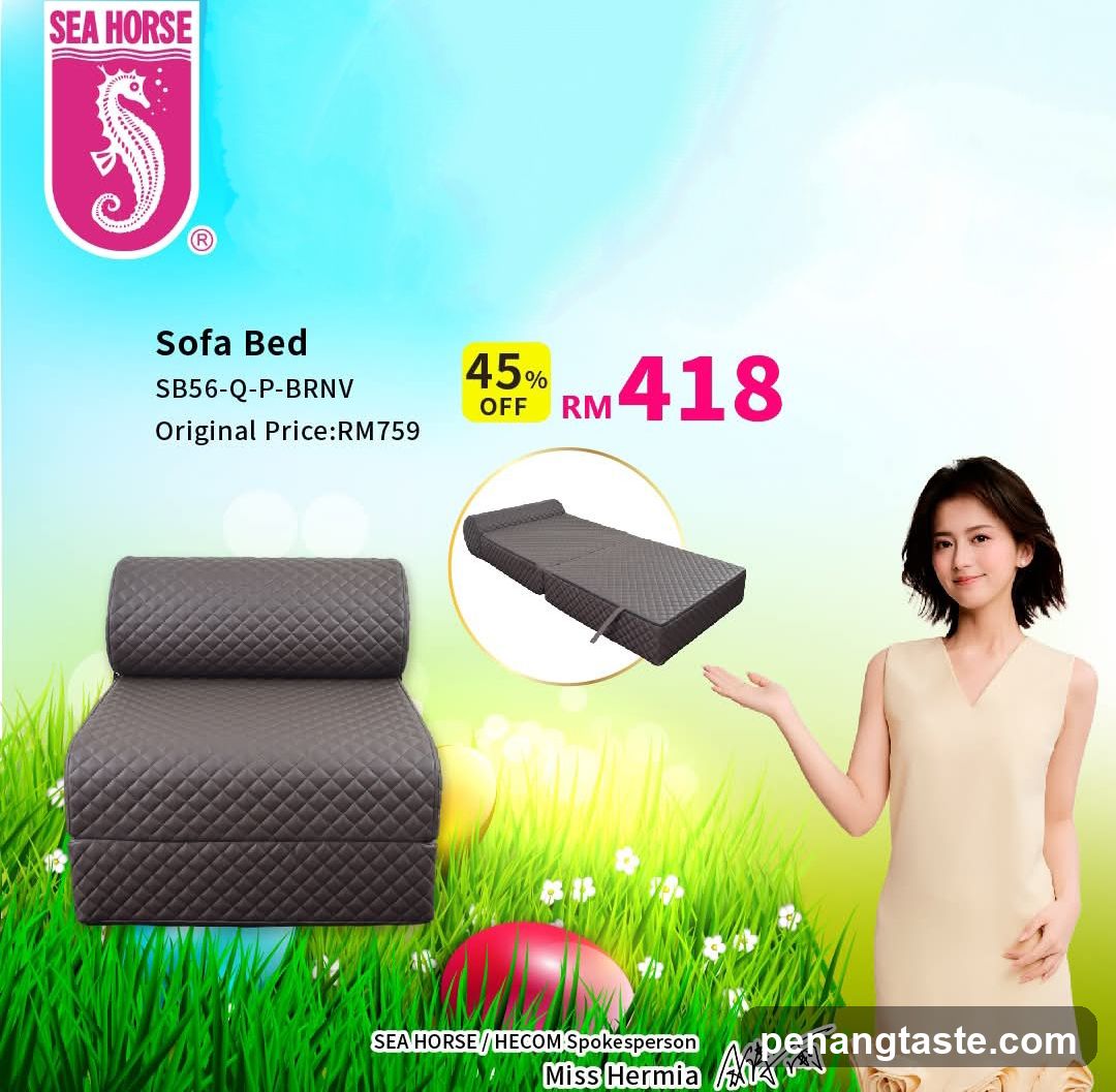 Sofa Bed Advertisement