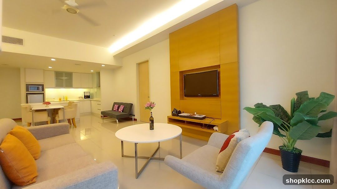 Modern Living Room and Kitchenette