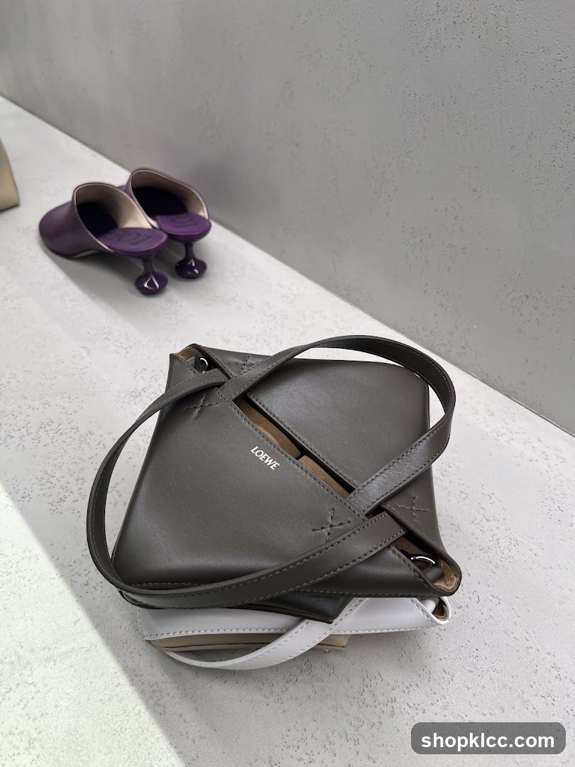 Loewe Handbag and Mules