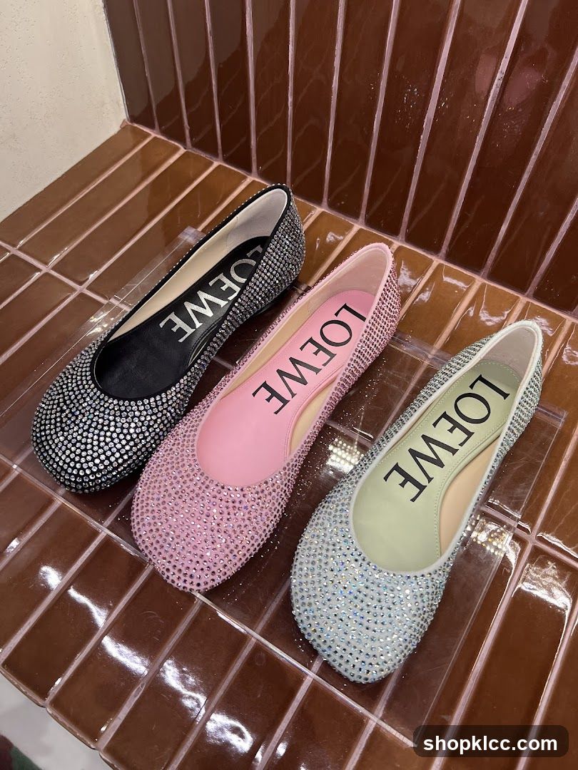 Loewe Ballet Flats