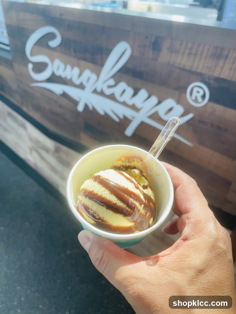 Ice Cream with Chocolate Drizzle
