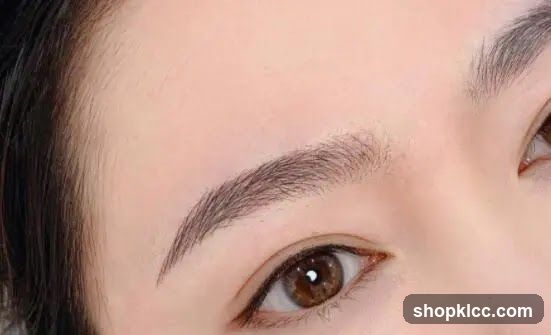 SK Beauty Eyebrow Embroidery
