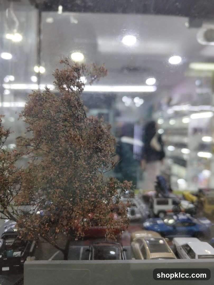 Display of Miniature Cars and Trees