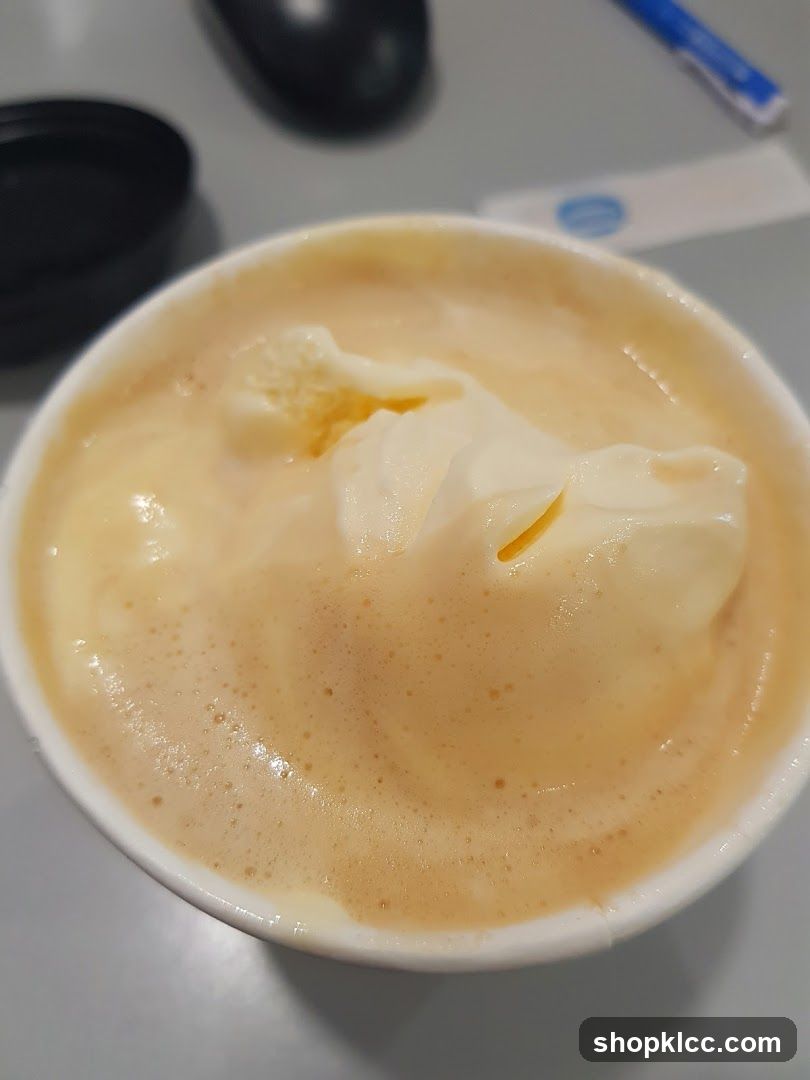 Ice Cream Float