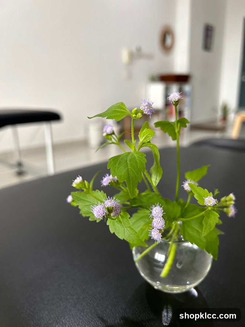 Small Flowers in a Glass Vase