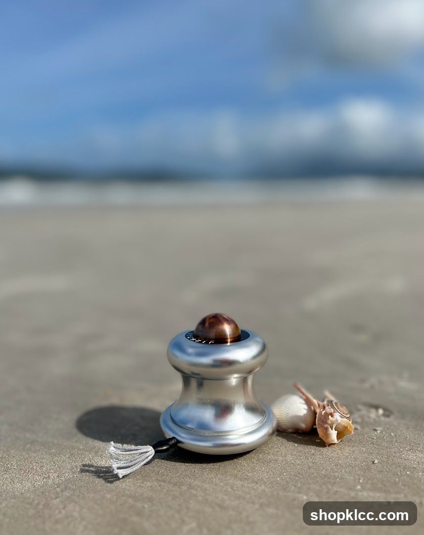 Fidget Spinner on Beach