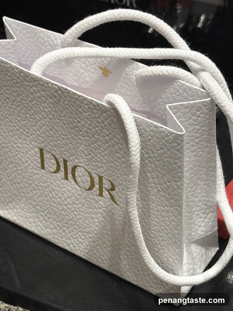 Dior Shopping Bag