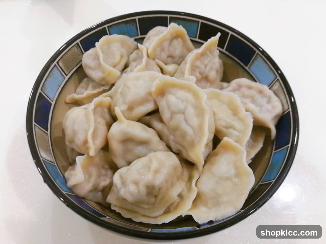 Bowl of Dumplings