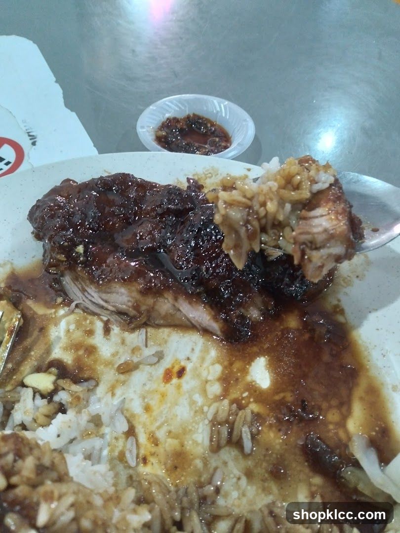 Close-up of a plate of food with rice and meat