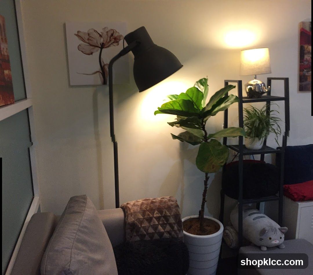 Cozy Corner with Plants and Art