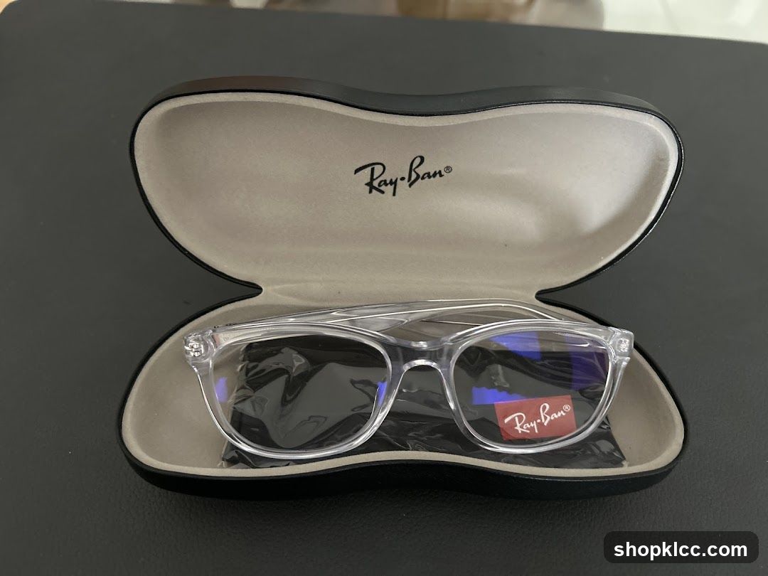 Ray-Ban Glasses in Case