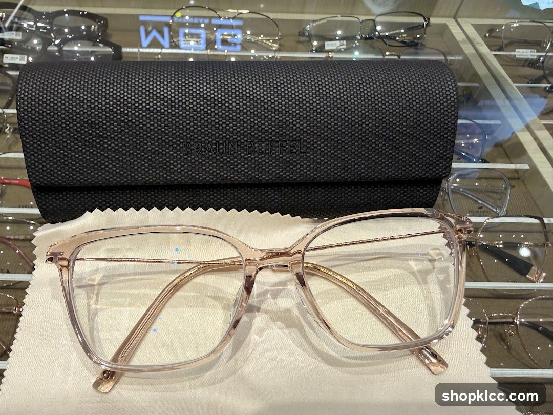 Eyeglasses and Case
