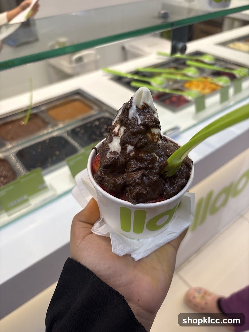 Frozen Yogurt with Chocolate Topping