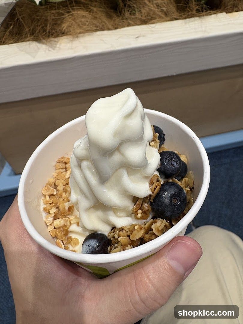 Frozen Yogurt with Blueberries and Granola