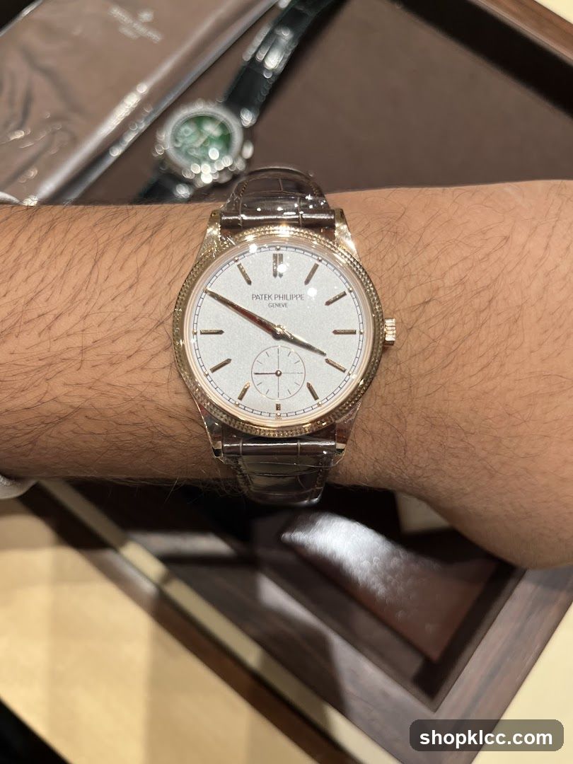 Patek Philippe Watch on Wrist