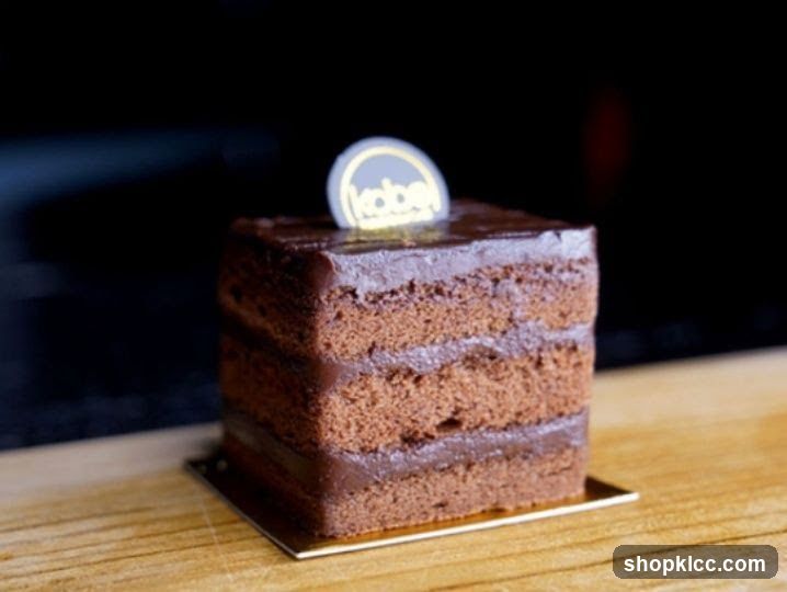 Chocolate Cake Slice