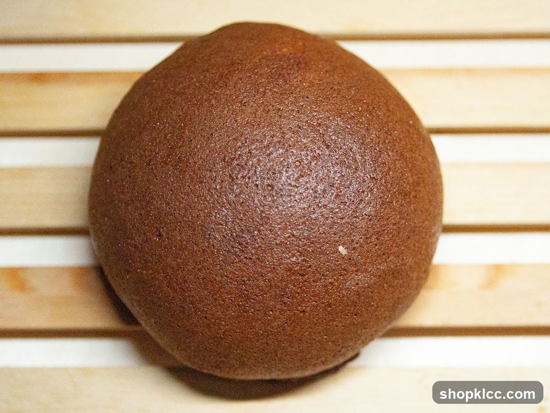 Close-up of a Chocolate Bun