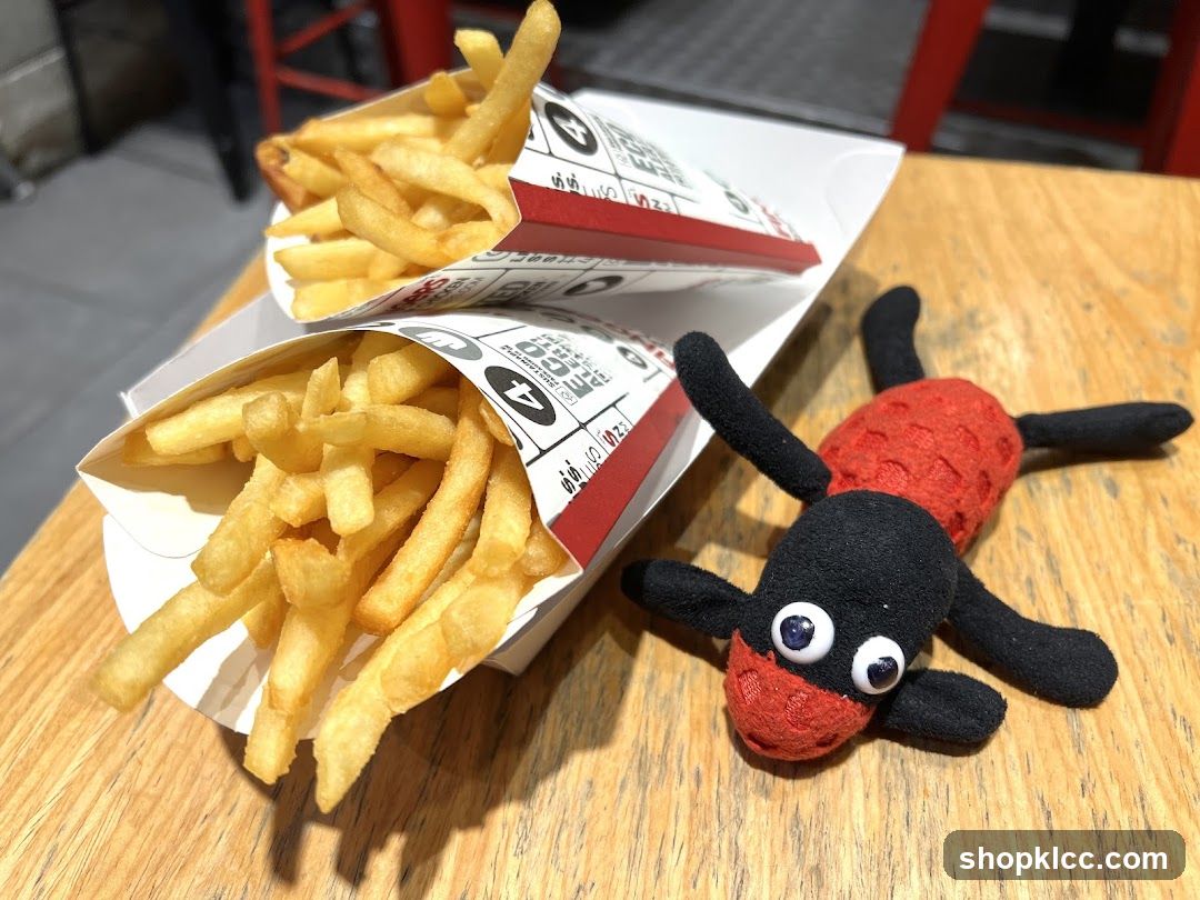 French Fries and Toy