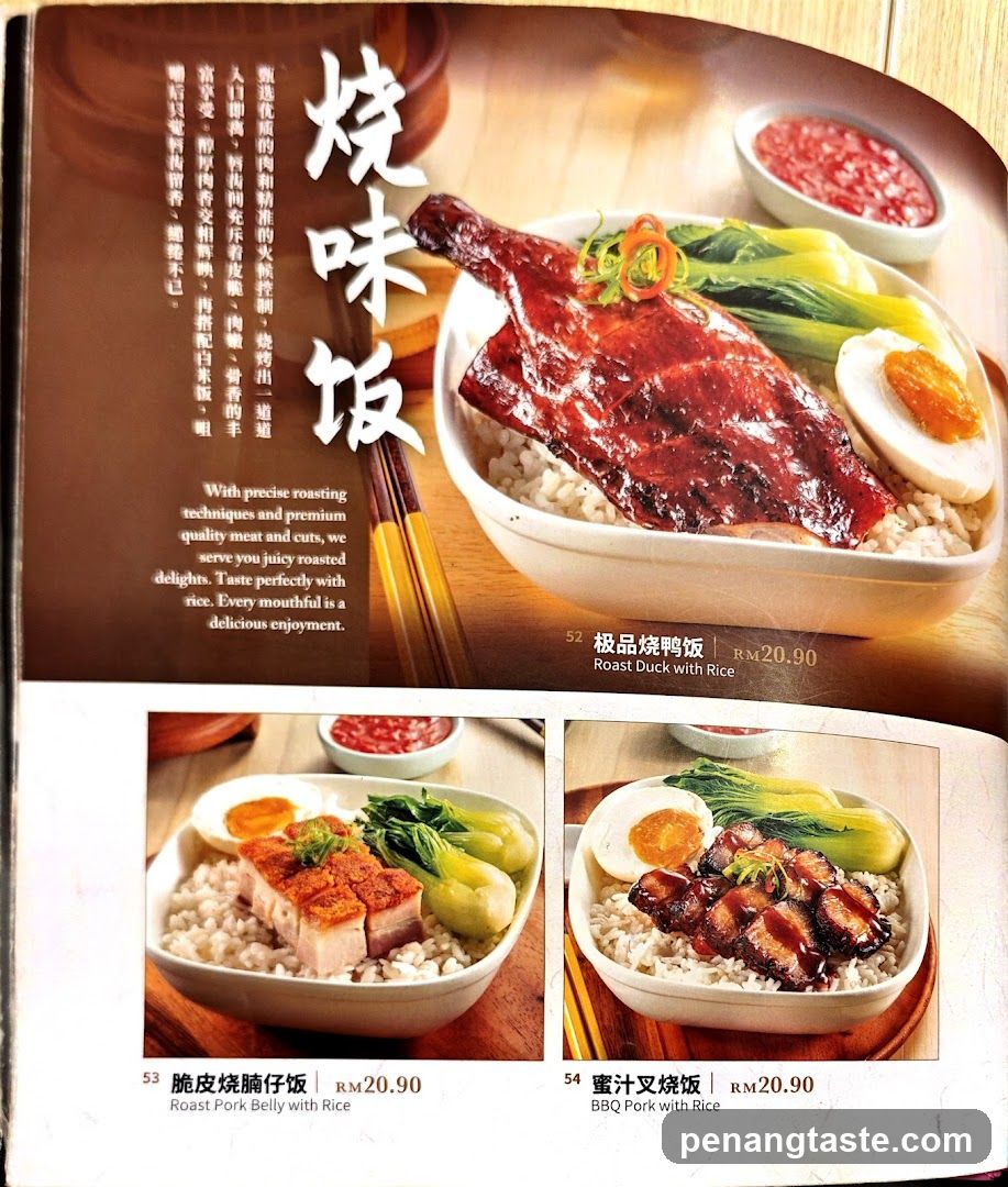 烧味饭 Roast Duck with Rice