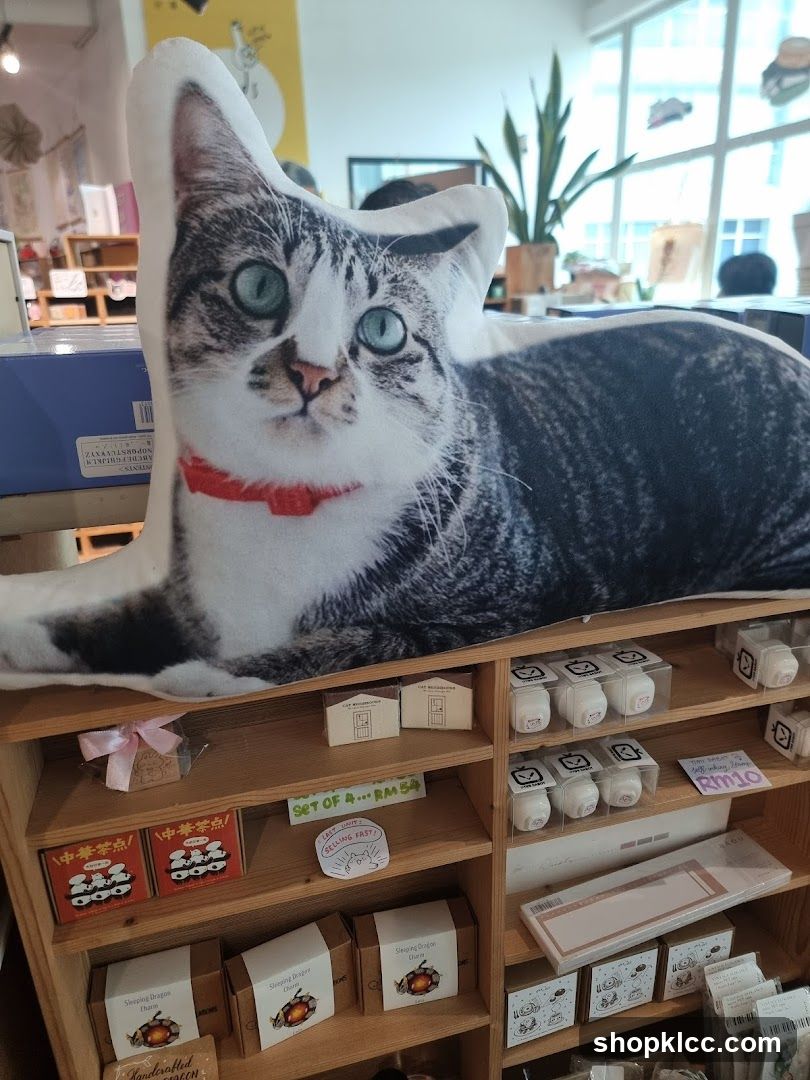 Cat Pillow and Shelves of Merchandise