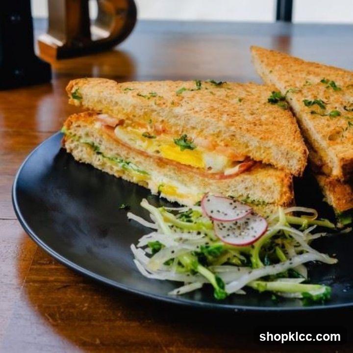 Sandwich with Side Salad