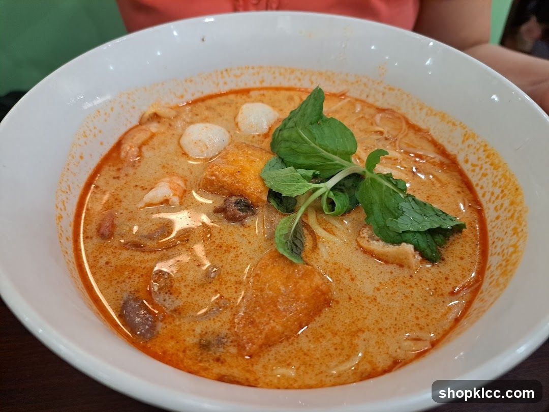 Laksa Noodle Soup