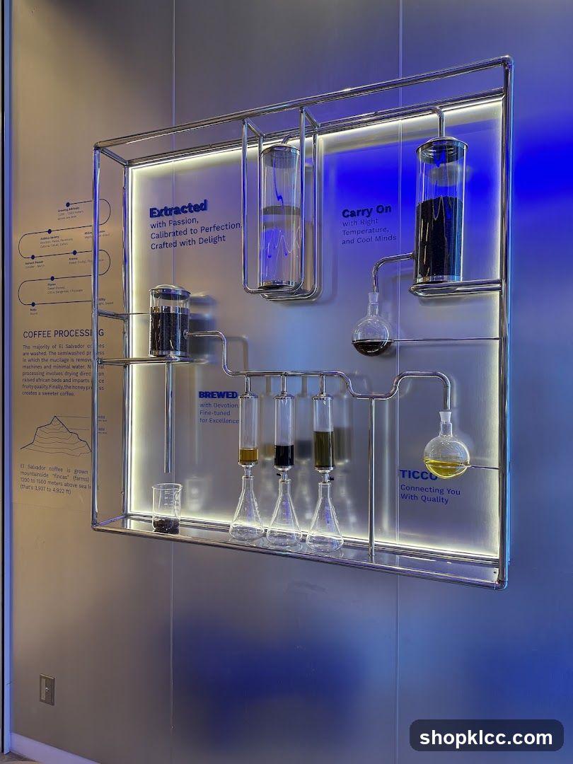 Coffee Processing Display