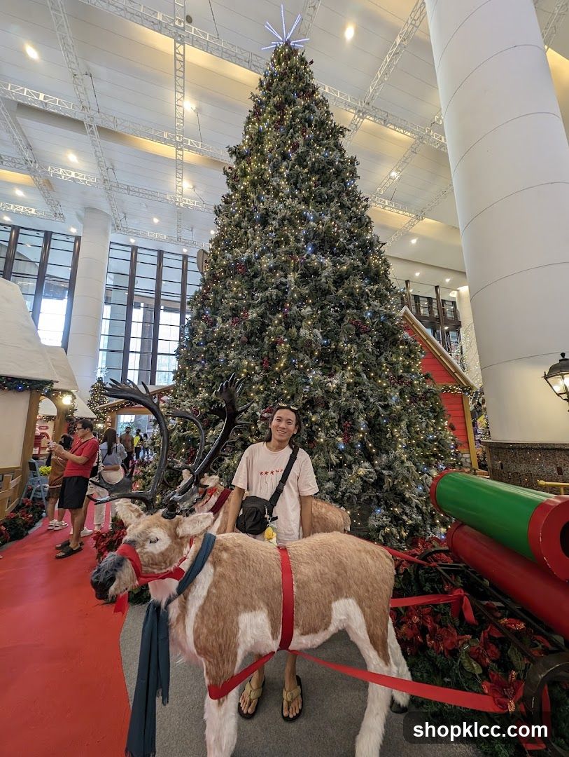 Christmas Tree Display
