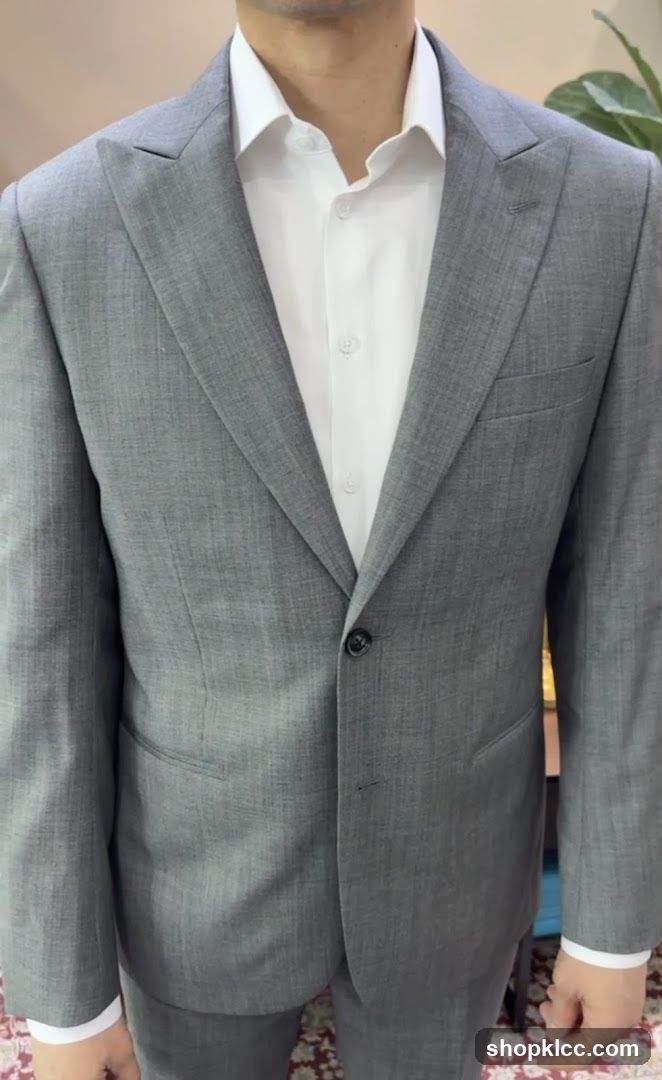 Man in a Grey Suit