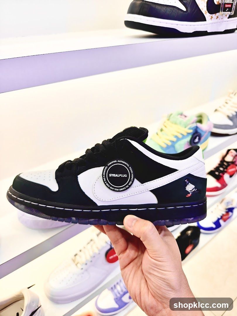Sneakers on Display