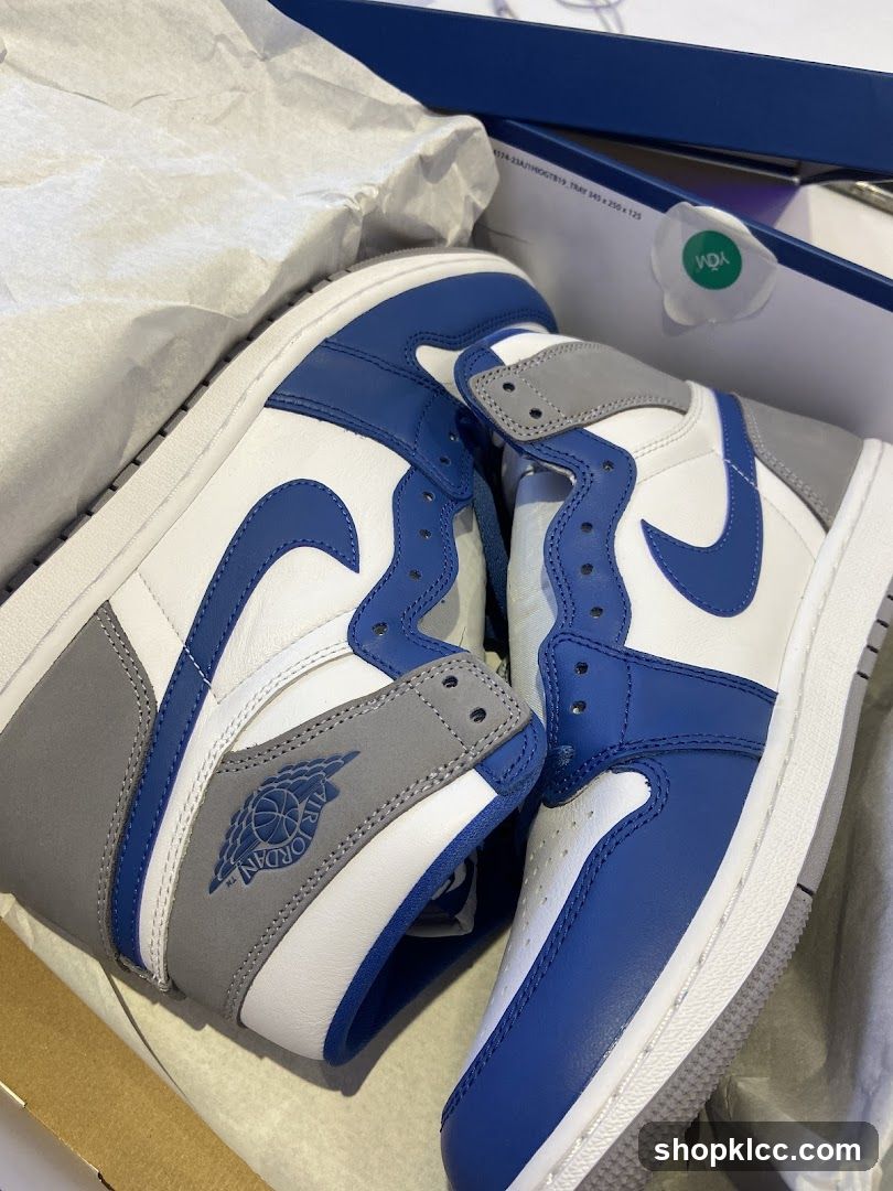 Air Jordan 1 Sneakers