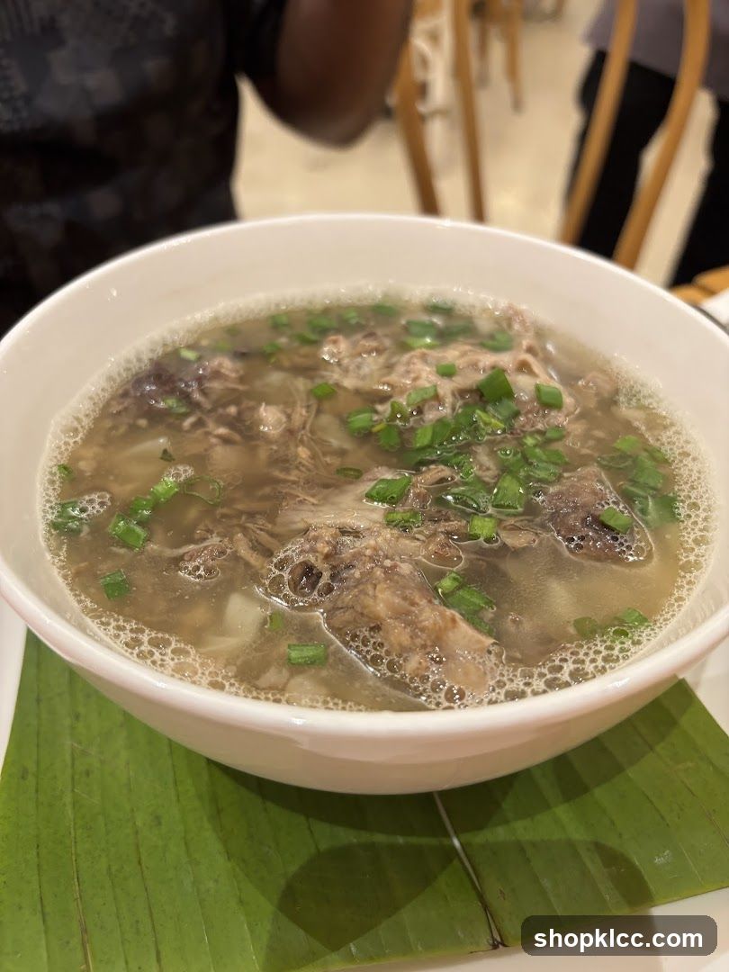 Bowl of Soup with Meat and Green Onions