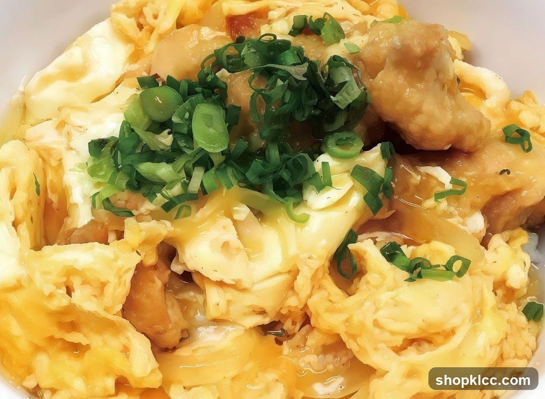 Chicken and Egg Rice Bowl