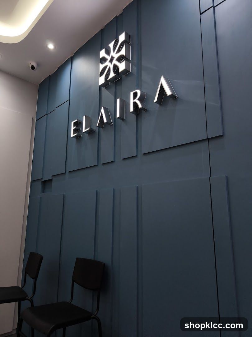 Elaira Logo and Interior Detail
