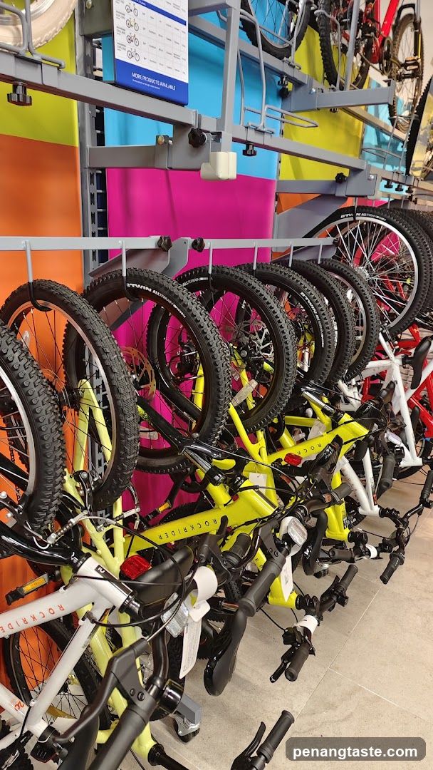 Bicycles on Display