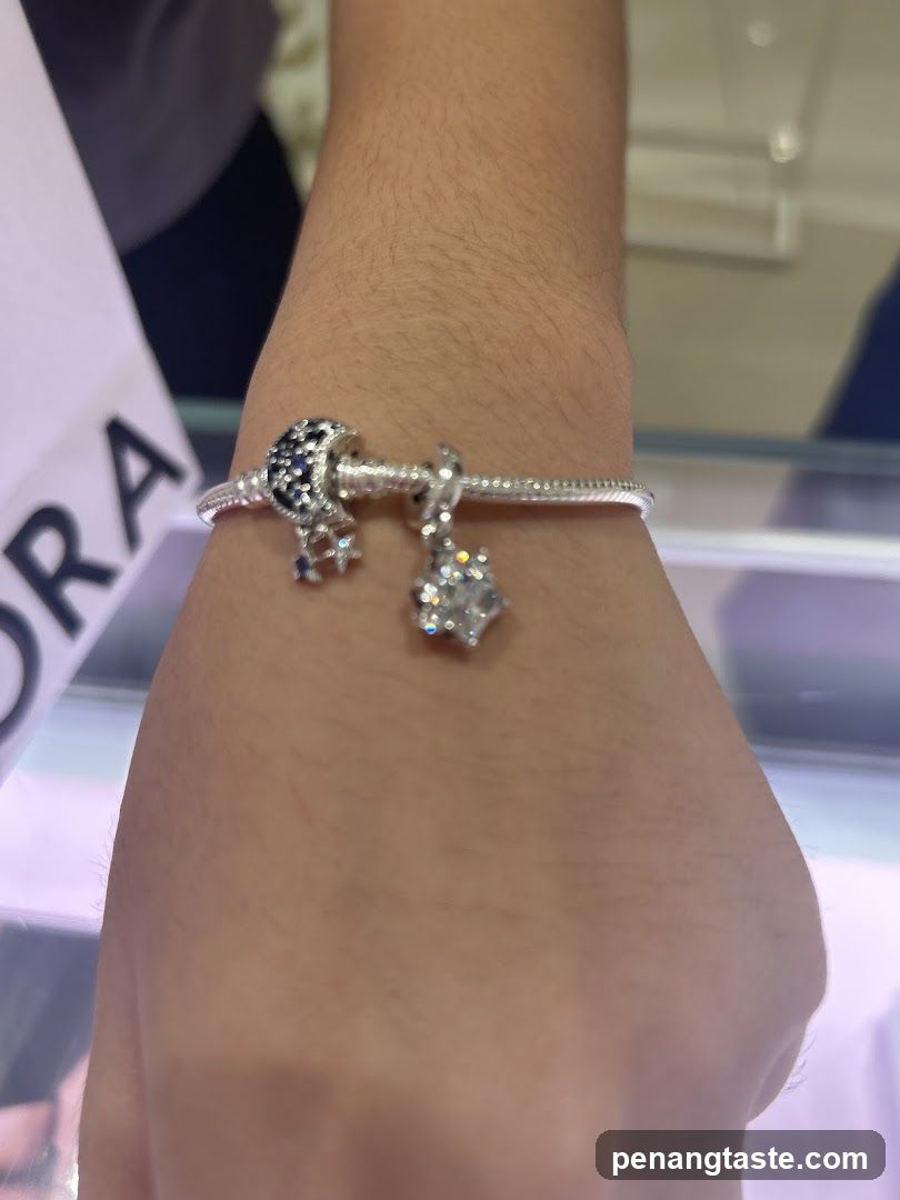 Pandora Bracelet with Charms