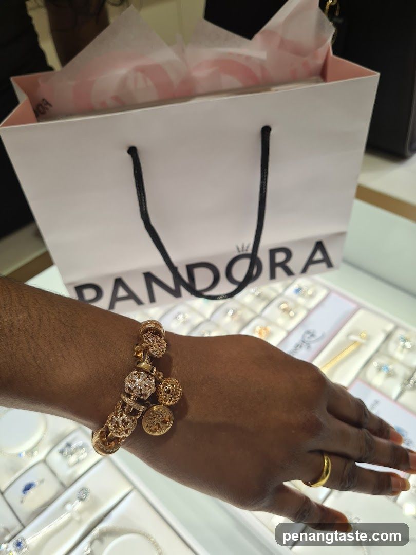 Pandora Bracelet and Shopping Bag
