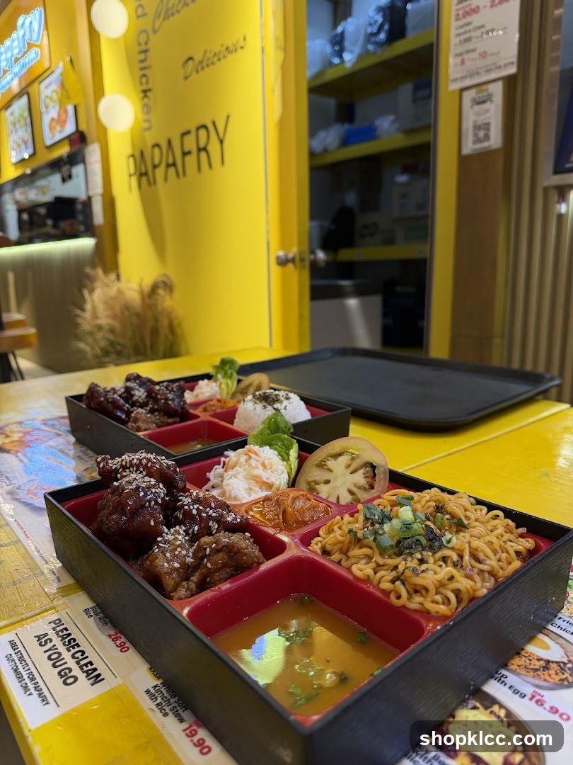 Papafry Bento Boxes
