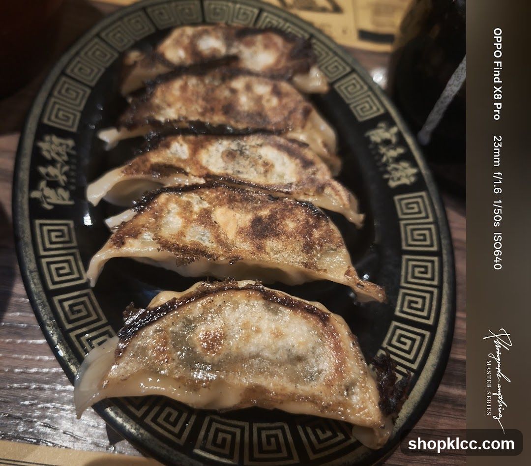 Pan-fried dumplings